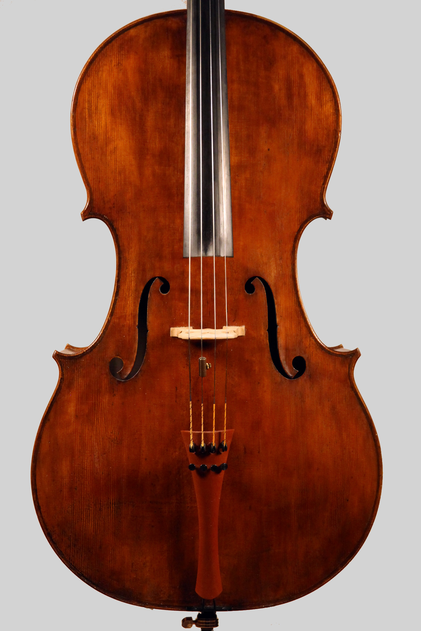 cellodecke