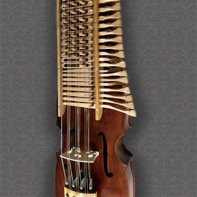 vorderansicht der nyckelharpa