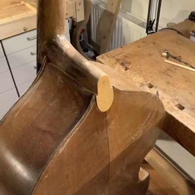 Seitenansicht einer Gambe