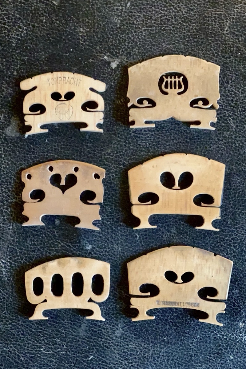 verschiedene stegmodelle