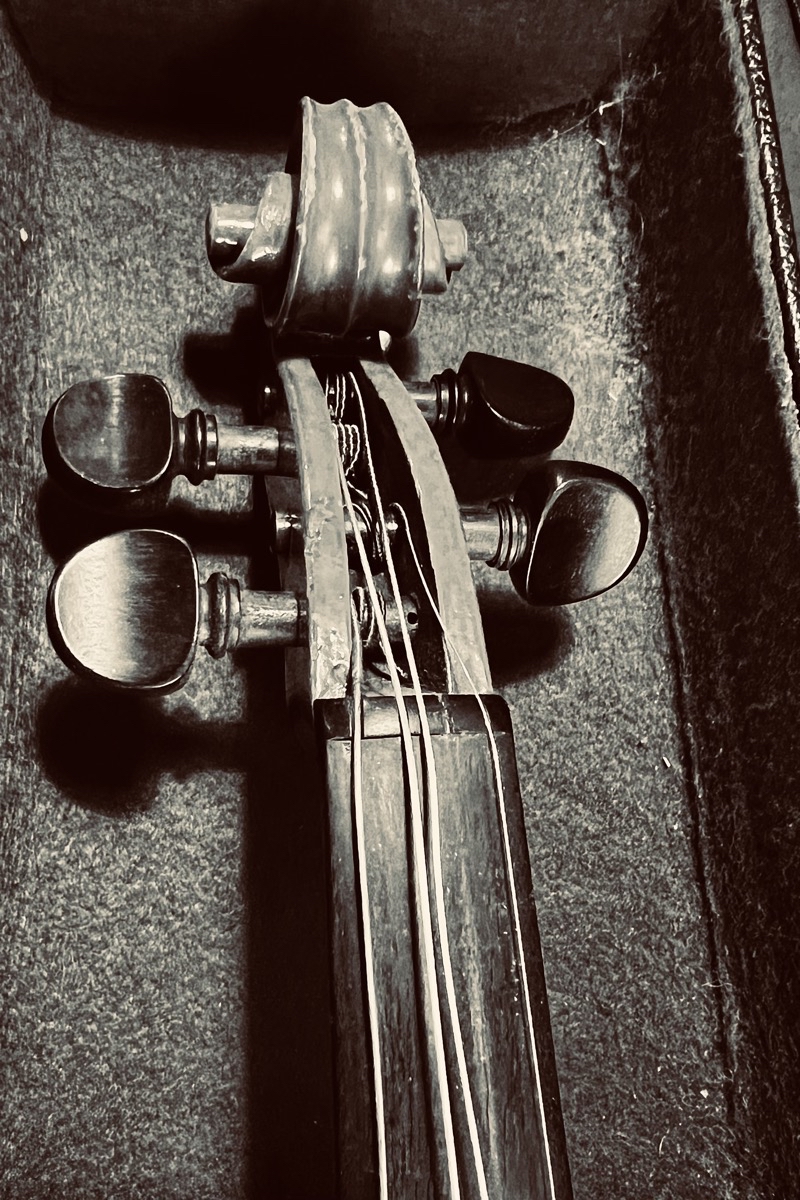 Geigenschnecke mit losen Saiten